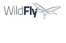 WildFly